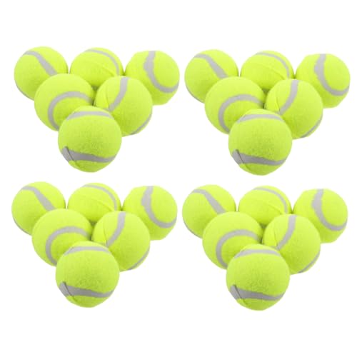 SEWOART 22 Stück Hundespielzeugbälle, Tennisbälle, Gummi, Kauspielzeug Für Haustiere, Übungsbälle, Spielbälle Für Hunde, Für Große, Mittelgroße Und Kleine Hunde, Interaktive von SEWOART