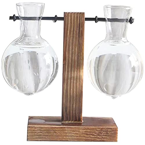 SEWOART Hydrokulturvase Glas Für Zimmerpflanzen Mit Holzständer Wasservase Transparent Blumenvase Dekorativ Home-Office SEWOART Hydrokulturvase Glas Für Zimmerpflanzen Mit Holzständer Wasservase Transparent Blumenvase Dekorativ Home-Office von SEWOART