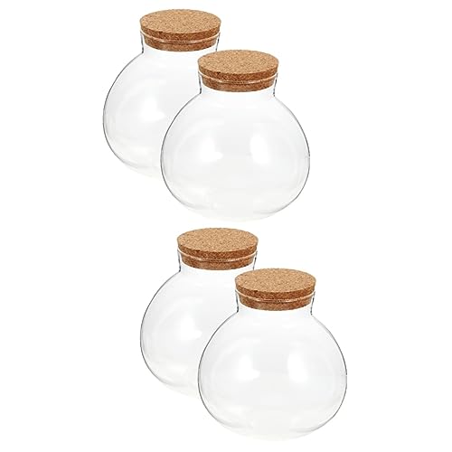 SEWOART 4 Stück Ökologische Mikrolandschaftsflasche Hydrokulturtopf Kugelpflanzen Terrarium Flasche Moospflanze Ökosphäre Hydrokulturvase Sukkulentenflasche Selber Machen Probe Klar Kork von SEWOART