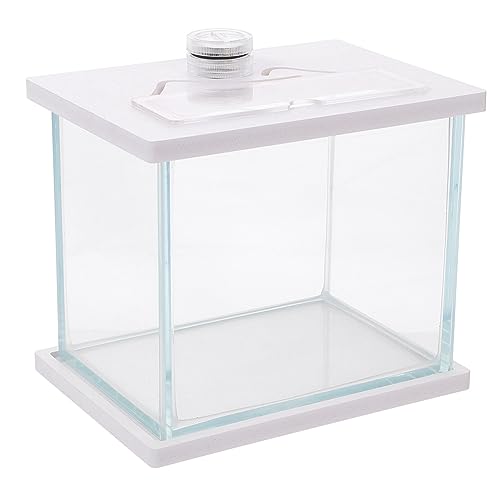 SEWOART Praktische Glas Aquarium Landschaft Aquarium Desktop Aquarium Schmuck Für Wohnkultur von SEWOART