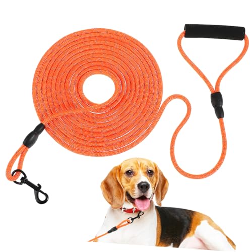 SEWOART Hundeleine Reflektierendes Orangefarbenes Haustierseil 6 M Robustes Nylon Bequemer Griff Hundespaziergangstraining Bis Große Hunde von SEWOART