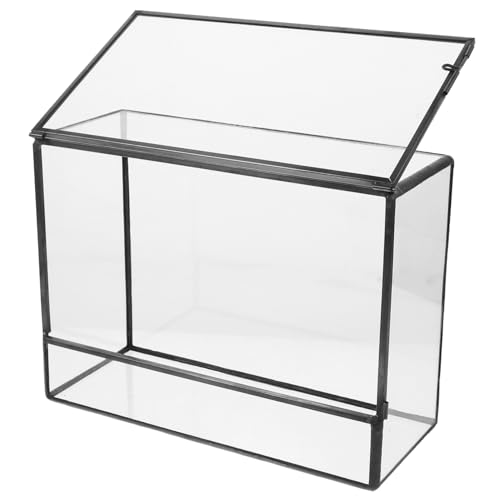 SEWOART Kasten Glas-landschaftstank Leeres Terrarium Einfaches Glasterrarium DIY-Terrarium Moos Landschaft Container Ökologischer Mooshalter Pflanzenetui Ökologischer Halter Zinn von SEWOART