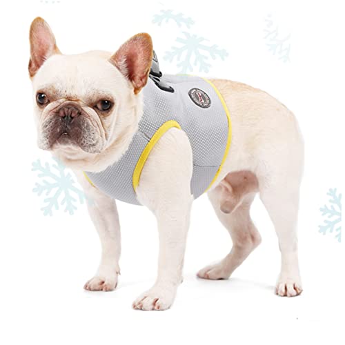 SEWOART Kühlweste für Hunde atmungsaktive Weste für Haustiere Geschirr für mittlere Hunde Welpenweste Dog Cooling Vest Hunde Kühlweste sommerliche hundeweste Coole Weste für Haustier Grey von SEWOART