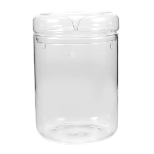 SEWOART Mikro Landschaftspflanzen Vasen Hydroponische Vase Terrarium Mini Vasen Flasche Moos Landschaftsbehälter Dekorative Flasche DIY Pflanzenbehälter Pflanzenflasche Aus Glas von SEWOART