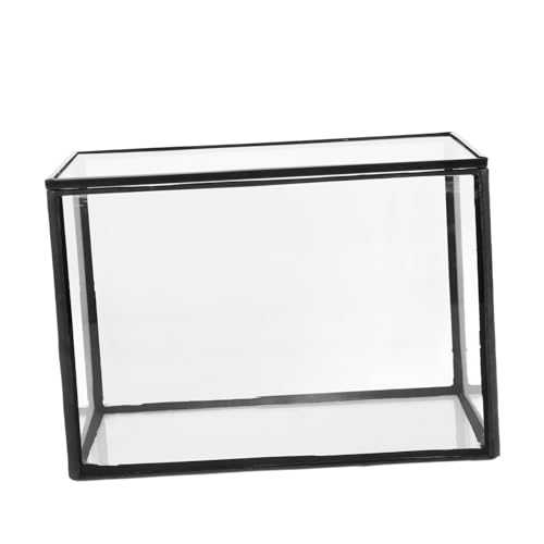 SEWOART Mikrolandschaftsgewächshaus Mikro-landschafts-DIY-Halter Saftiges Terrarium Tischschmuck Micro-landschaftshalter Ökosystem Terrarium Kleines Terrarium Pflanzenetui Transparent Glas von SEWOART