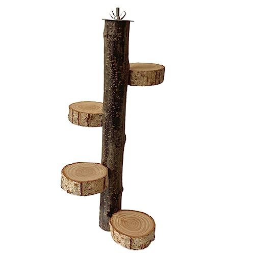 SEWOART Papageien-Ständer aus Holz Papageienspielzeug Vogelklauen-Schleifstab Vogelkäfigständer Vogelbaum vogelstange Vogelholzbarsch Nymphensittich Spielzeug Vogel stehende Stange hölzern von SEWOART