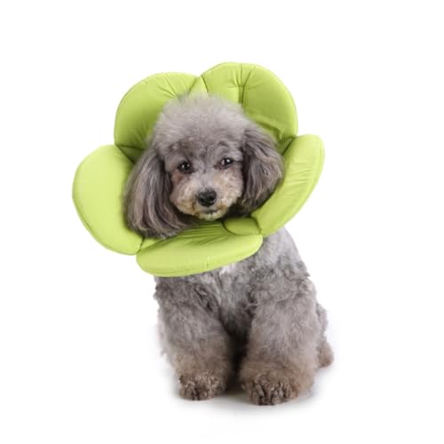 SEWOART elisabethanisches Haustierhalsband Welpen Haustierhalsband aus Stoff kleines Welpenhalsband Donut-Halsband für Hunde milchkännchen Hund elisabethanische Halskette Green von SEWOART