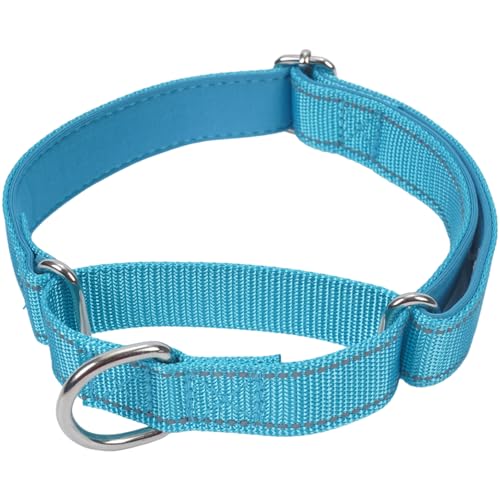 SGODA Martingale Hundehalsband, Reflektierendes Nylon Gepolstert Hundetrainingshalsbänder für Große Hunde, Blau L von SGODA