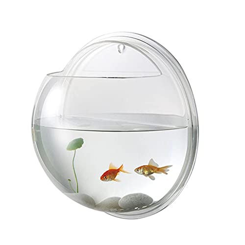 SGSG 19,5 cm Durchmesser Kreative Wand Acrylic Fish Bowl Hängendes Aquarium Transparent Home Ornament von SGSG