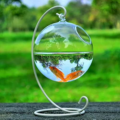 SGSG 1Set Runde Form Hängendes Glas Aquarium Aquarium Blume Pflanzenvase Transparente Kugelförmiges Glas Handgemachtes Aquarium (Weiß) von SGSG