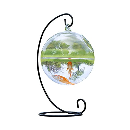 SGSG 1Set Runde Form Hängendes Glas Aquarium Aquarium Blume Pflanzenvase Transparentes Kugelförmiges Glas Handgemachtes Aquarium (Schwarz) von SGSG