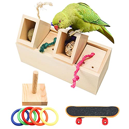 SH-RuiDu 3 in 1 Vogel Training Spielzeug, hölzernes Vogelfutter Intelligenz Schublade Spielzeug Bunte Training Schleifen Spielzeug Skateboard Papagei Fuß Spielzeug für kleine und mittlere Papageien von SH-RuiDu