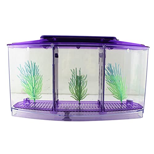 SH-RuiDu Mini-Aquarium-Aquarium, transparentes Acryl-Aquarium mit Kunststoff-Pflanzen-Dekoration für Zuhause, Büro, Tee, Tischdekoration von SH-RuiDu