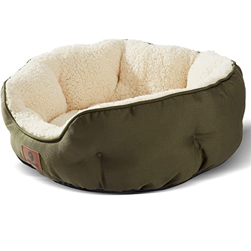 Hundebett, Katzenbetten Für Indoor-Katzen, Haustierbett Für Welpen Und Kätzchen, Extra Weich Und Maschinenwaschbar Mit Rutschfestem Und Wasserabweisendem Oxford-Boden (L(60*60*20CM),Green) von SHAIYOU