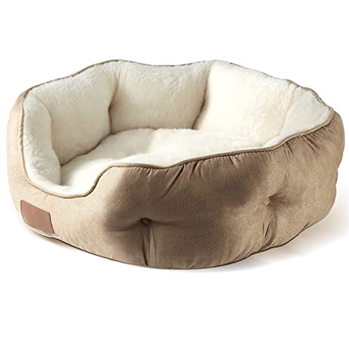 Hundebett, Katzenbetten Für Indoor-Katzen, Haustierbett Für Welpen Und Kätzchen, Extra Weich Und Maschinenwaschbar Mit Rutschfestem Und Wasserabweisendem Oxford-Boden (L(60*60*20CM),Khaki) von SHAIYOU