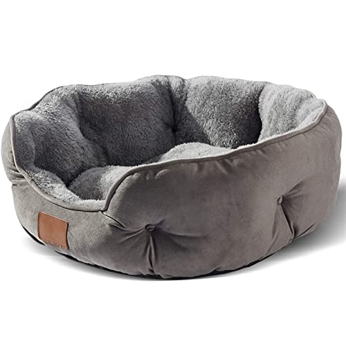 SHAIYOU Hundebett, Katzenbetten Für Indoor-Katzen, Haustierbett Für Welpen Und Kätzchen, Extra Weich Und Maschinenwaschbar Mit Rutschfestem Und Wasserabweisendem Oxford-Boden (M(50 * 50 * 20CM),Grey) von SHAIYOU