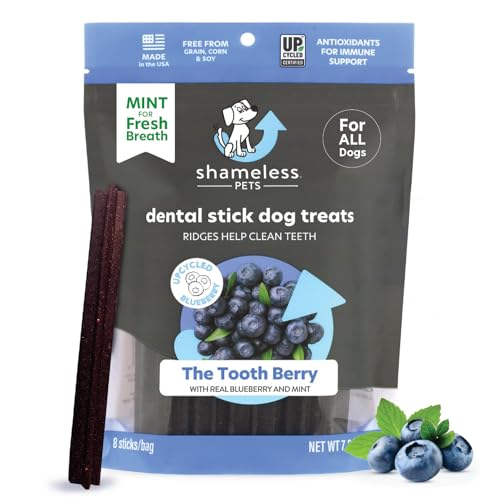 Shameless Pets Zahnleckerlis für Hunde Die Zahnbeere – Gesunde Zahnstäbchen mit Immununterstützung für die Zahnreinigung & frischen Atem – Hundeknochen Dental Chews Frei von Getreide, Mais & Soja von SHAMELESS PETS