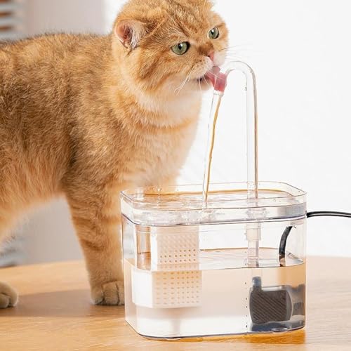 Katzen Wasserbrunnen, Wasserbrunnen für Katzen Innen, Haustier Brunnen Hund Wasserspender, Katze Bewässerungsbedarf Leise, für Katzen Hunde, Mehrere Haustiere von SHANGYU