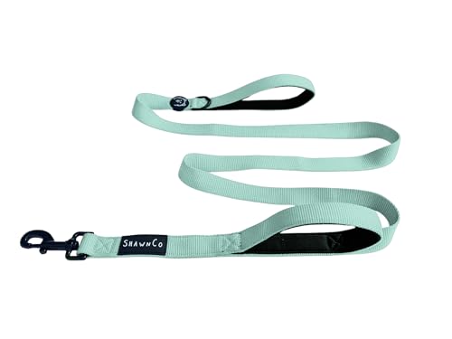 ShawnCo Dream Walk Hundeleine, Premium-Nylon-Hundeleine mit weichem Neopren-Griff für kleine, mittelgroße und große Hunde (Seafoam, M/L, 1,8 m mit 2 Griffen) von SHAWNCO