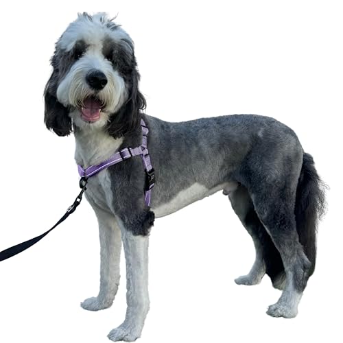 ShawnCo Dream Walk Pro Hundegeschirr, kein Ziehen, bequem, verstellbar, einfach zu bedienen, Haustier-Halfter gegen Ziehen für kleine, mittelgroße und große Hunde (ICY Lilac, L) von SHAWNCO