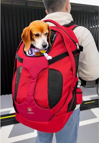 2024 Hundetragerucksack für Haustiere, Katzen- und Hunderucksack für Reisen, Wandern, Camping von SHCiHui