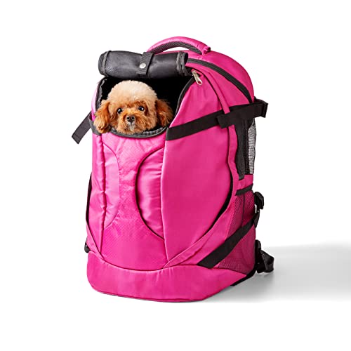 Hundetragerucksack für Haustiere, Welpen, Katzen, Reisetasche, Sporttasche mit belüftetem, atmungsaktivem Netzstoff, Sicherheitsgurte, Schnallenunterstützung, weicher Lammwollboden für Reisen, von SHCiHui