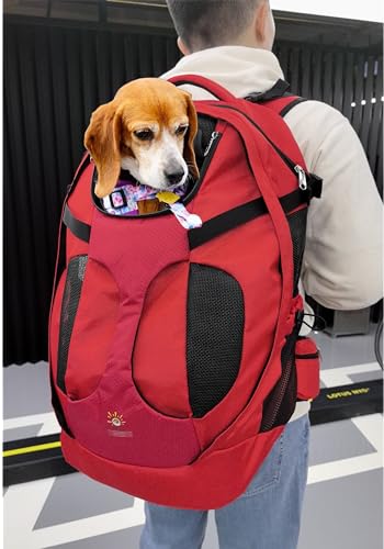 SHCihui Großer Haustier-Rucksack, Hunderucksack für die meisten Hundegrößen, Reisen und Wandern, Haustier-Tragerucksack mit Sicherheitsleine, mehr große Belüftung, doppellagige Struktur von SHCiHui