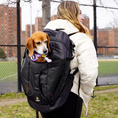 SHCihui Großer Haustier-Rucksack | Hunderucksack für die meisten Hundegrößen | Reise- und Wanderrucksack | mit Sicherheitsleine | große Belüftungen | doppellagige Struktur (neues Schwarz) von SHCiHui