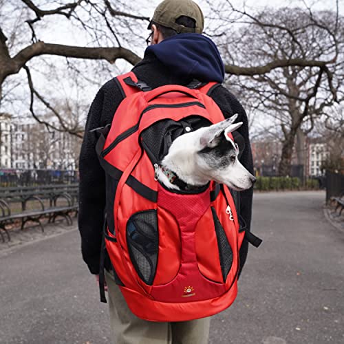 SHCihui Großer Haustier-Rucksack | Hunderucksack für die meisten Hundegrößen | Reise- und Wanderrucksack | mit Sicherheitsleine | große Belüftungen | doppellagige Struktur (neurot) von SHCiHui