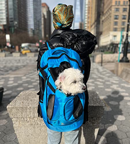 SHCihui Hundetragerucksack für kleine und mittelgroße Hunde, Katzen, Reise- und Wandertragetasche mit Sicherheitsleine, Belüftung, doppellagige Struktur (New Sky Blue) von SHCiHui