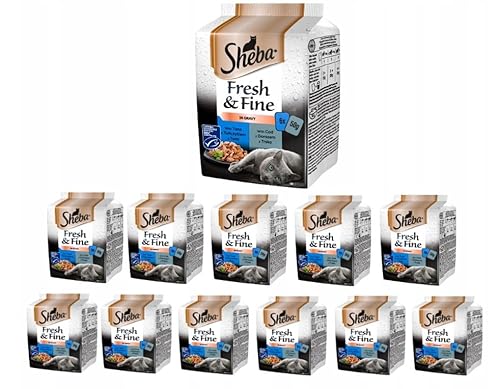 SHEBA Fresh & Fine Nassfutter für Katzen in Soße mit Thunfisch und Kalejau 72 Portionsbeutel (12 x 6 x 50 g) von Sheba