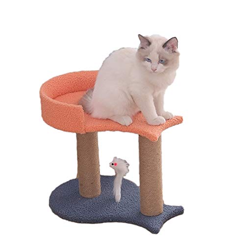 Katzenbaum-Katzen-Turm Shibohan eins durch den Himmelsäulen-Multi-Level-Kätzchen-Raum, kleine Katzen mit Wurf-Springplattform, komfortable Plüschwohnung und Sisal-Säule für Innenaktivitäten, um sich z von SHIBOHAN