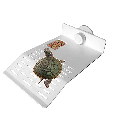 SHIGATSU Mittlere Schildkröten-Ruheplattform für Aquarium, 2-in-1 Kletterleiter, Terrarium mit Saugnapf für kleine Haustiere, Sonnenbaden, Ausruhen, Spielen von SHIGATSU