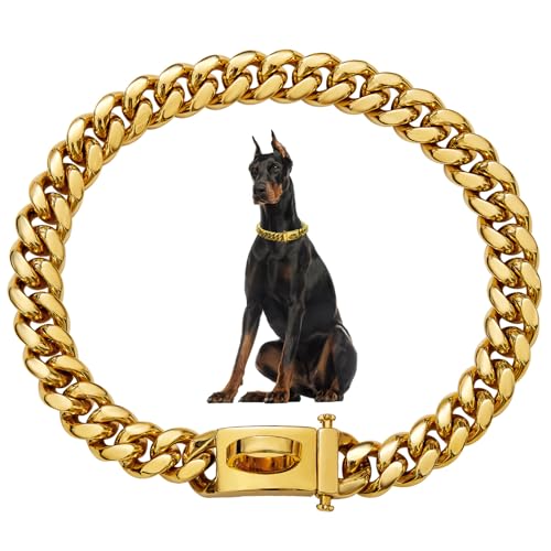 Hundekettenkragen 19mm Dickes Gold Metallhundkragen Edelstahl Hundekette mit Schnalle Starker schweres Hundehalterkragen Haustierkragen für kleine mittelgroße Hunde, Metallhundkragen von SHITOOMFE