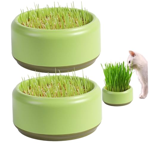 SHITOOMFE Katzengras -Pflanzer 2PCs Praktische runde Katzengrasbecher 5,3 Zoll praktische Katzengras -Wachstumskit Haushalt Katzengras Gärtner Samenrouter -Tablett, Katzengrasanbau Kit Kit von SHITOOMFE