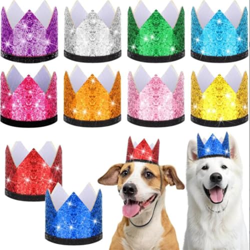 SHJOEE 10pcs Haustier Geburtstag Hut Hund Partyhüte Katze Geburtstags Mütze Hund Geburtstag Hüte Party Dekorationen Partyzubehör für kleine Welpen,Kätzchen,Stofftiere von SHJOEE