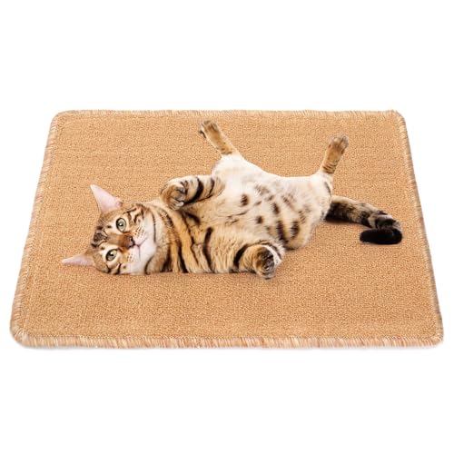 Kratzmatte Katze, 50x 35cm Kratzmatte Selbstklebend, AntiKratz Katzenkratzmatten Wand für Möbel Couch Sofa Teppiche Wand Tür Schutz von SHMSHNG