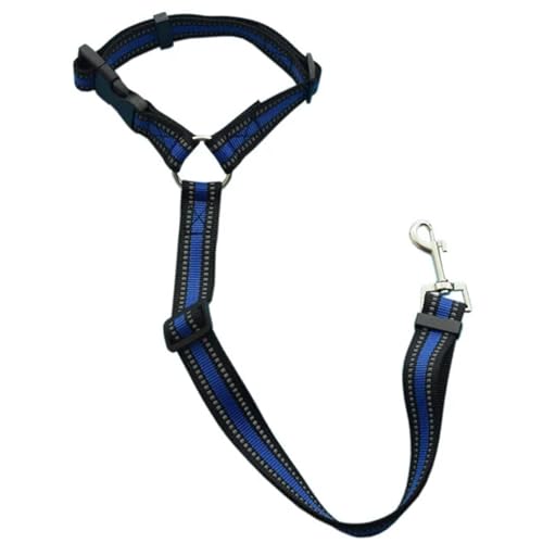 Einfarbig Zwei-in-eins Haustier Auto Sicherheitsgurt Nylon Leine Rücksitz Sicherheitsgurt Einstellbare Hundegeschirr Kragen Haustier Zubehör (Size : Reflective Blue) von SHOKHI