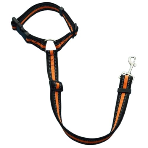 Einfarbig Zwei-in-eins Haustier Auto Sicherheitsgurt Nylon Leine Rücksitz Sicherheitsgurt Einstellbare Hundegeschirr Kragen Haustier Zubehör (Size : Reflective Orange) von SHOKHI