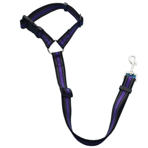 Einfarbig Zwei-in-eins Haustier Auto Sicherheitsgurt Nylon Leine Rücksitz Sicherheitsgurt Einstellbare Hundegeschirr Kragen Haustier Zubehör (Size : Reflective Purple) von SHOKHI