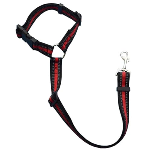 Einfarbig Zwei-in-eins Haustier Auto Sicherheitsgurt Nylon Leine Rücksitz Sicherheitsgurt Einstellbare Hundegeschirr Kragen Haustier Zubehör (Size : Reflective Red) von SHOKHI