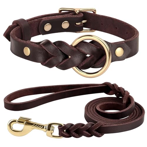 Leder-Hundehalsband-Leine-Set, geflochtenes, langlebiges Leder-Hundehalsband for mittelgroße und große Hunde, Deutscher Schäferhund, Haustierzubehör (Color : Brown Set, Size : L) von SHOKHI