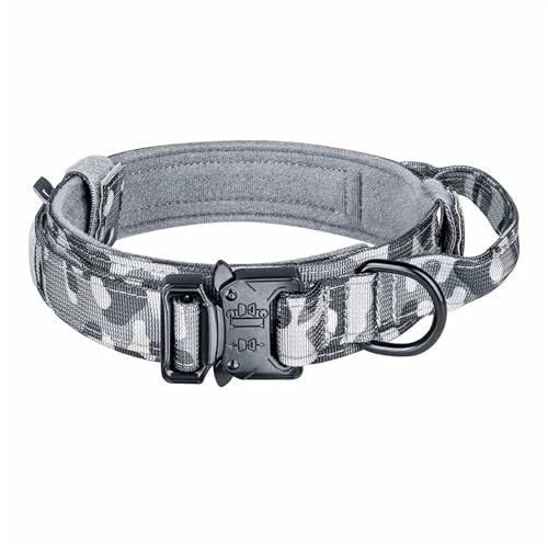 Taktisches Hundehalsband- und Leinenset for das Training und Spazierengehen großer Hunde (Color : Set, Size : L) von SHOKHI