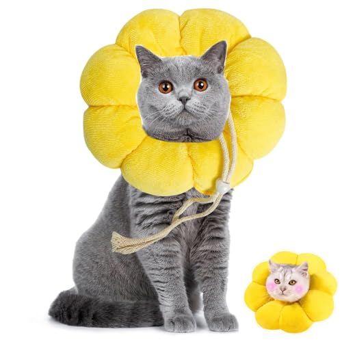 Halskrause Katze,Einstellbares Weich Sonnenblume Kragen,Halskrausen für Katzen,Elizabeth-Halsband,für Katzen Kleiner Hunde Nach Kastration Operation Und Verletzungen,Katzenkragen,Hundekragen von SHPUJUN