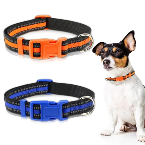 2 Pcs Hunde halsbänder, Hundehalsband personalisiert, Hundehalsband verstellbar, hochwertige reflektierende Nylonhalsbänder, geeignet für kleine und mittelgroße Haustiere (Größe M, Blau und Orange) von SHRADS