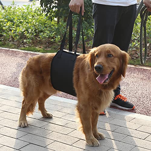 SHUAIGUO Hunde-Hebegeschirr, Weich und Heben und Unterstützen, Rehabilitationsgeschirr mit Griff für Hundehilfe, aus Polyester-Material, Geeignet für Hunde (L) von SHUAIGUO