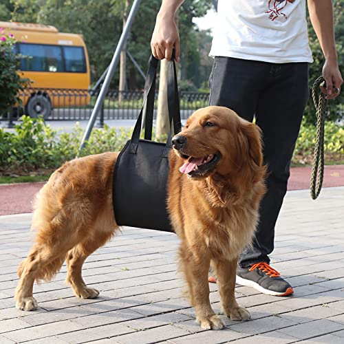 SHUAIGUO Hunde-Hebegeschirr, Weich und Heben und Unterstützen, Rehabilitationsgeschirr mit Griff für Hundehilfe, aus Polyester-Material, Geeignet für Hunde (M) von SHUAIGUO