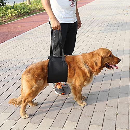 SHUAIGUO Hunde-Hebegeschirr, Weich und Heben und Unterstützen, Rehabilitationsgeschirr mit Griff für Hundehilfe, aus Polyester-Material, Geeignet für Hunde (S) von SHUAIGUO