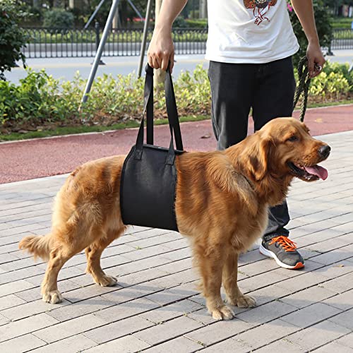 SHUAIGUO Hunde-Hebegeschirr, Weich und Heben und Unterstützen, Rehabilitationsgeschirr mit Griff für Hundehilfe, aus Polyester-Material, Geeignet für Hunde (XL) von SHUAIGUO