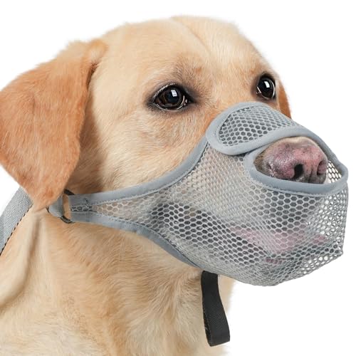 SHUOHONG Hunde Maulkorb, Nylon-Mesh, Atmungsaktiv und Bequem, Maulkorb für Große Hunde mit Verstellbaren Trägern, Maulkorb Mittlere Hunde, Maulkorb Kleine Hunde, Maulkörbe für Hunde (Grau-L) von SHUOHONG